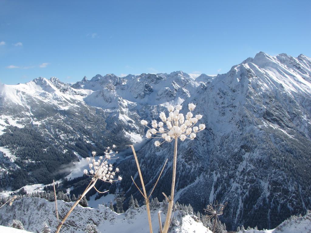 Oberstdorfer Bergwelt 213 Appartement Buitenkant foto